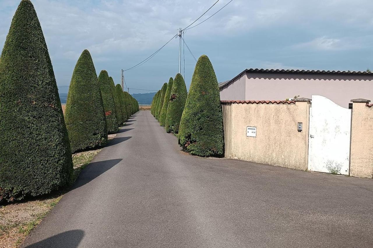 Charmante Maison Avec Piscine アネロン エクステリア 写真